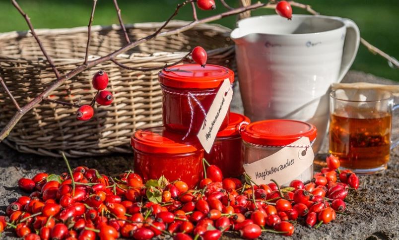 Harvest Rose Hips and Process Them into Jam or Tea | Chef Reader