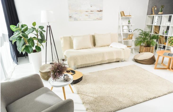 A Place of Power: How to Make an Apartment Cozy Without Repairs