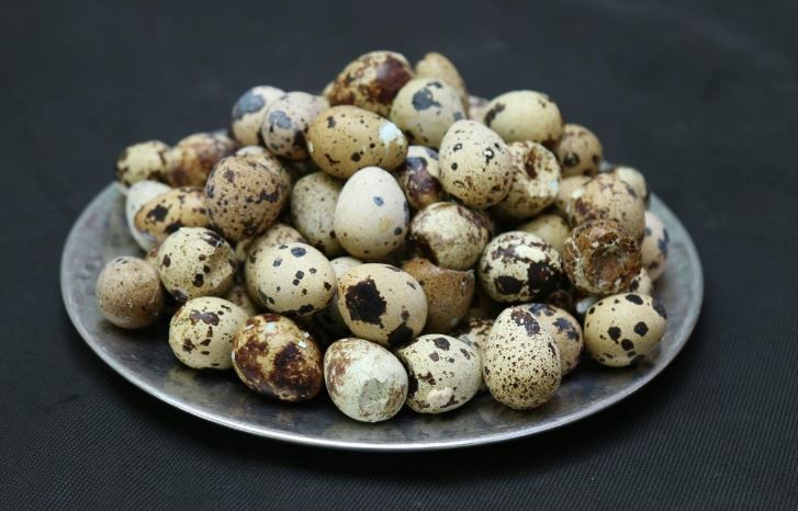 The Benefits of Quail Eggs: How Much is Good to Eat Per Day and in What Form
