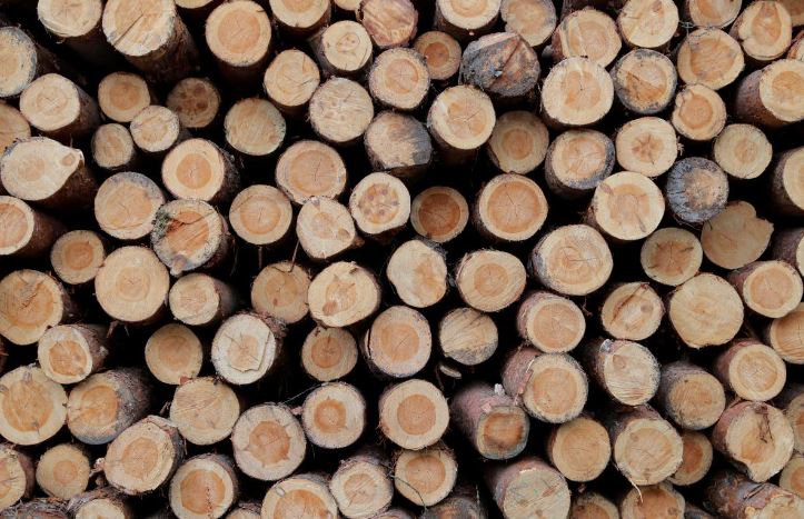 What Wood You Can’t Heat Your Furnace With, and What You Can: Useful Tips for Winter