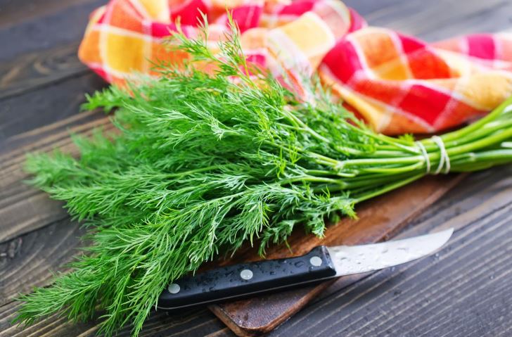 When to Add Herbs to Dishes: Simple Rules of Experienced Hostesses