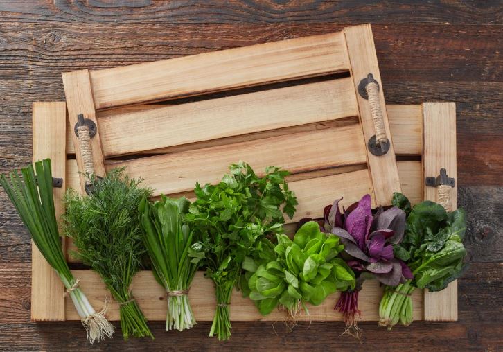 How to Grow Herbs on a Windowsill: Universal Methods That Work for Everyone