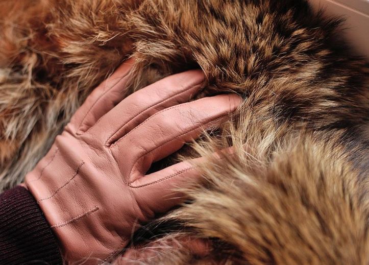 Soft and Shiny: How to Clean Fur on Your Jacket at Home