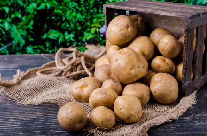 How to Store Potatoes for a Long Time, So They Do Not Sprout and Do Not Spoil: 6 Ways