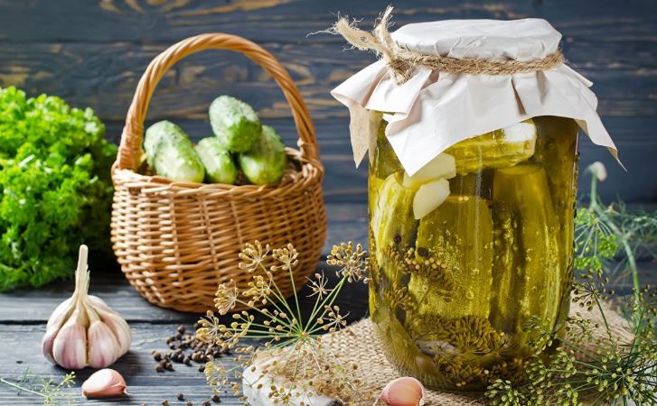 They Will Last Until Spring: How to Store Fresh and Pickled Cucumbers Correctly