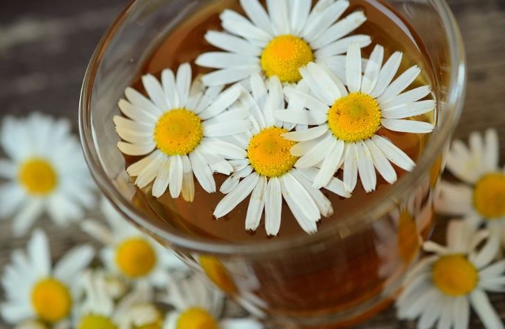 What to Drink for a Good Night’s Sleep: 6 Drinks with a Sedative Effect