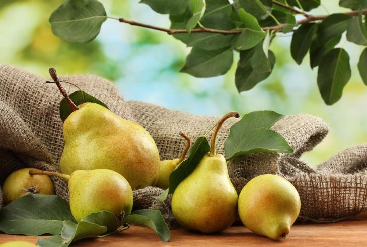 Healthy Skin and Strong Vessels: 5 Beneficial Properties of the Pear