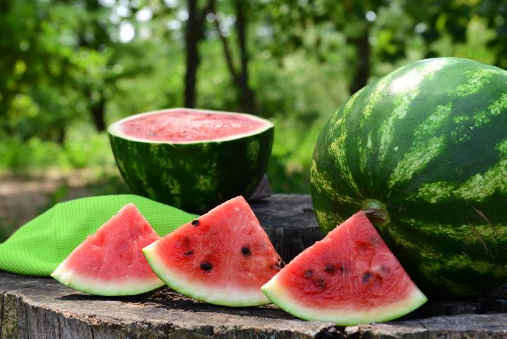 When to Plant Watermelon and Melon: Timing and Tips for a Good Harvest